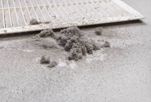 Air Duct Mold Removal in St Ansgar, IA
